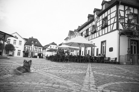 ahrweiler