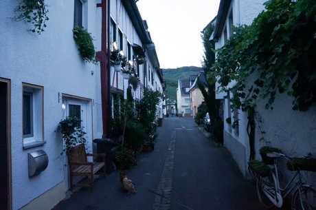ahrweiler