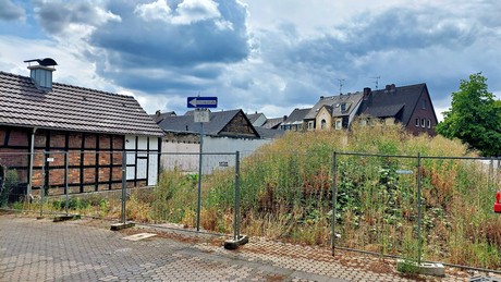 alt-huerth