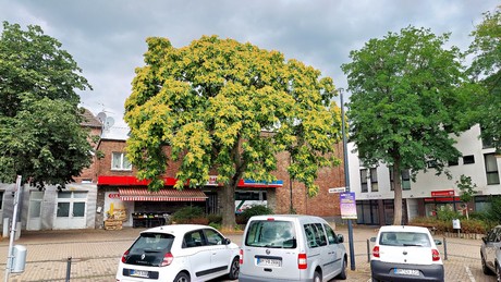 alt-huerth
