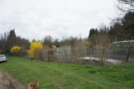 alt-huerth