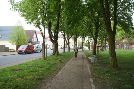 altenbruch
