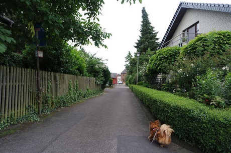 Angelsdorf