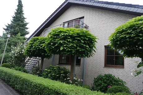 Angelsdorf