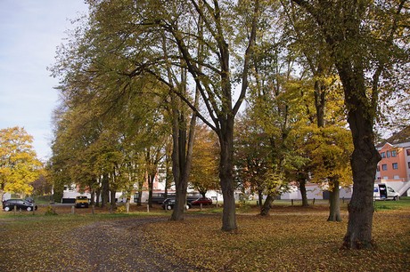 bad-bodendorf