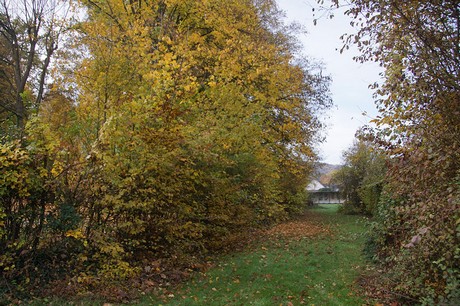 bad-bodendorf