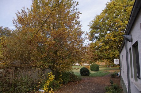 bad-bodendorf