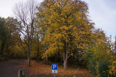 bad-bodendorf