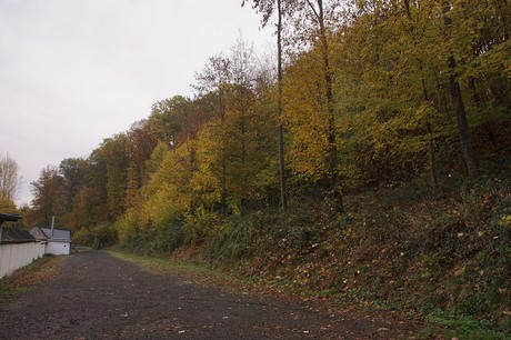 bad-bodendorf
