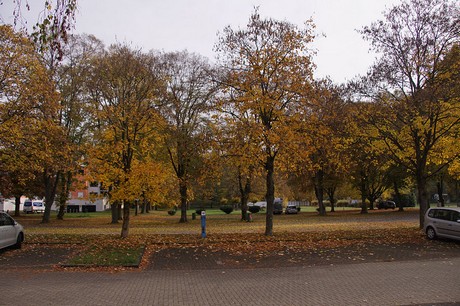 bad-bodendorf