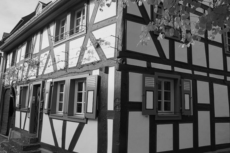 bad-bodendorf