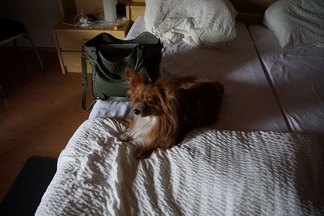 Baden-Baden