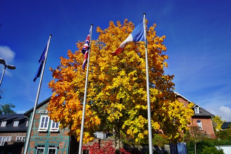 Battenberg