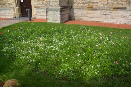Beckum