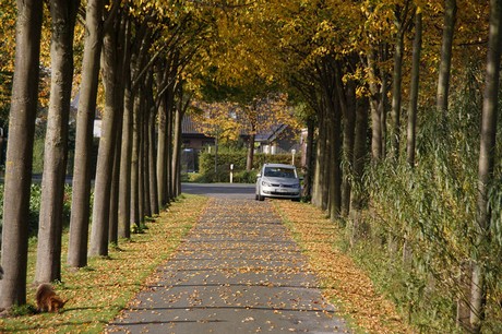 Benteler