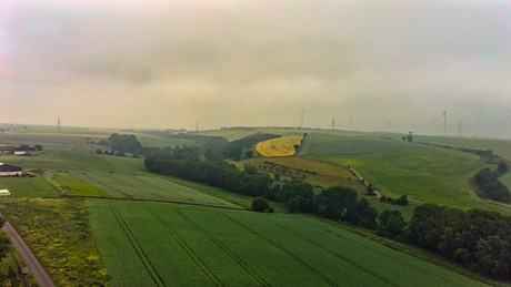 Berg