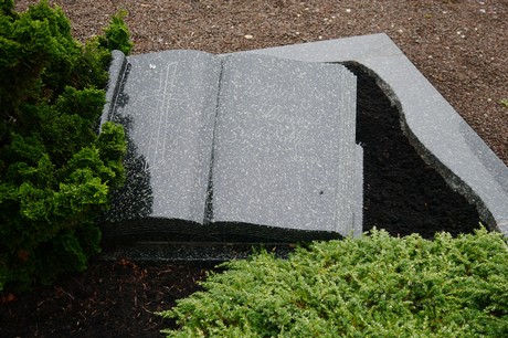 Berg