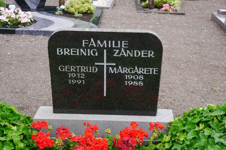 Berg