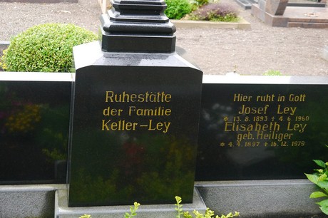 Berg