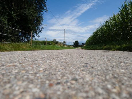 Bergheim