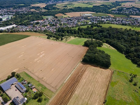 Bergheim