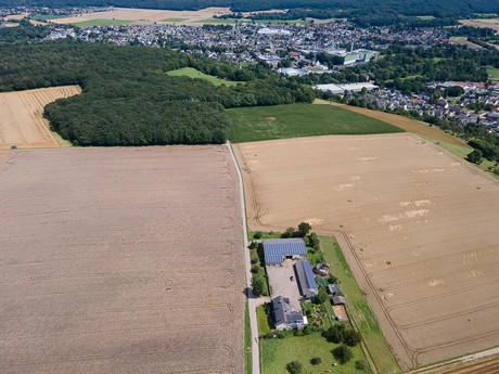 Bergheim