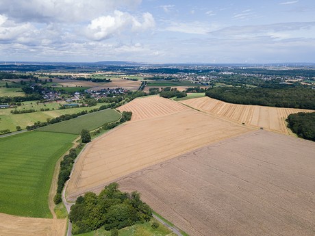 Bergheim