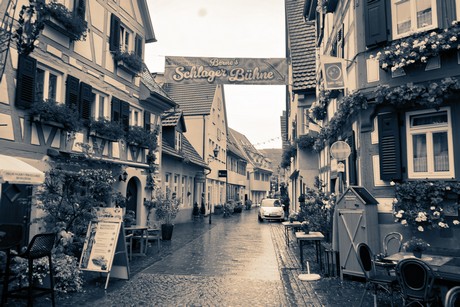 bilder
