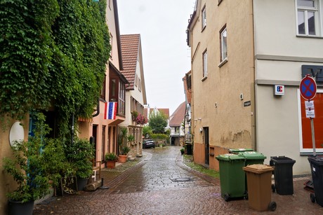 bilder