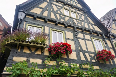bilder