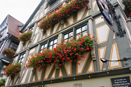 bilder