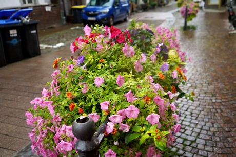 bilder