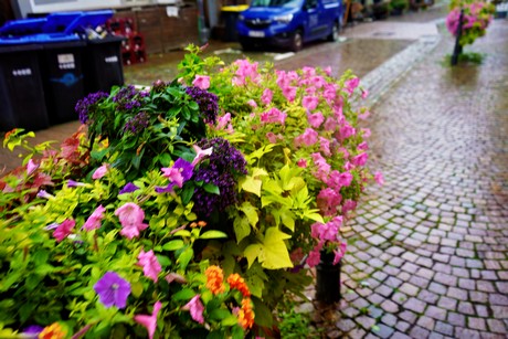 bilder