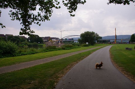 Beverungen