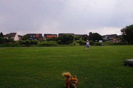 Beverungen
