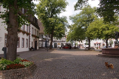 Beverungen