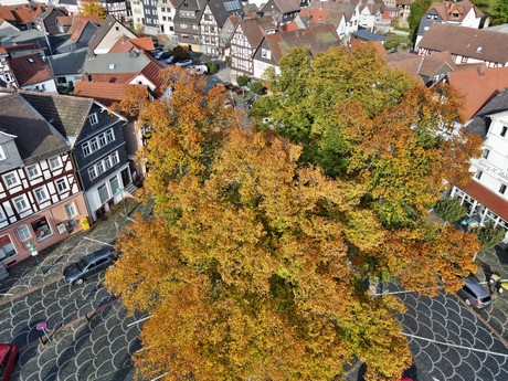 Biedenkopf