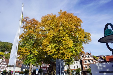 Biedenkopf