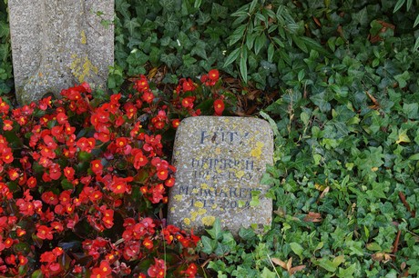 Billig