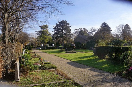 Birkesdorf