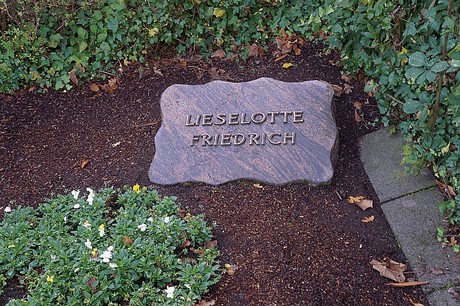 Birkesdorf