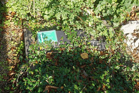 Birkesdorf