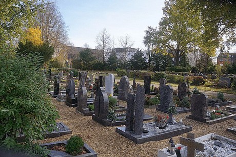 Birkesdorf