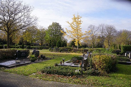 Birkesdorf