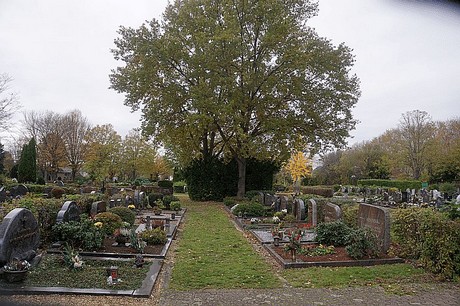 Birkesdorf