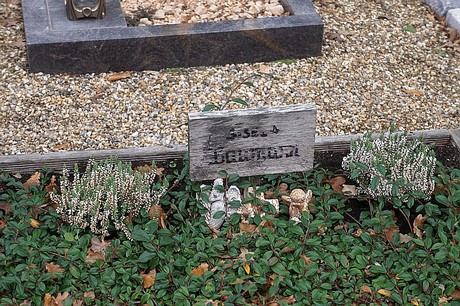 Birkesdorf