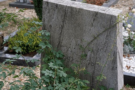 Birkesdorf