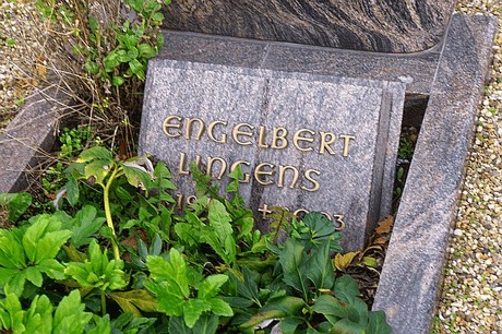Birkesdorf