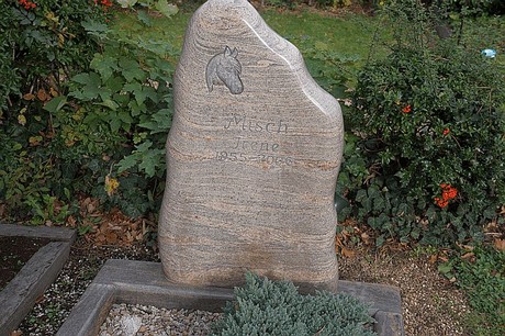 Birkesdorf