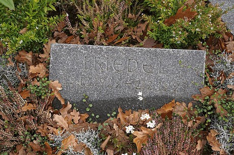 Birkesdorf